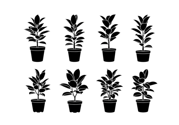 Rubber Plant Silhouette Clipart SVG
